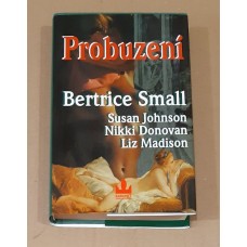 Bertrice Small - Probuzení